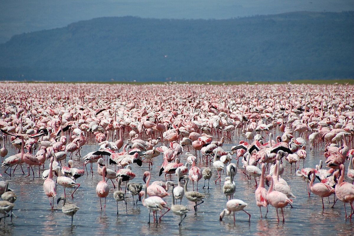 Kenya